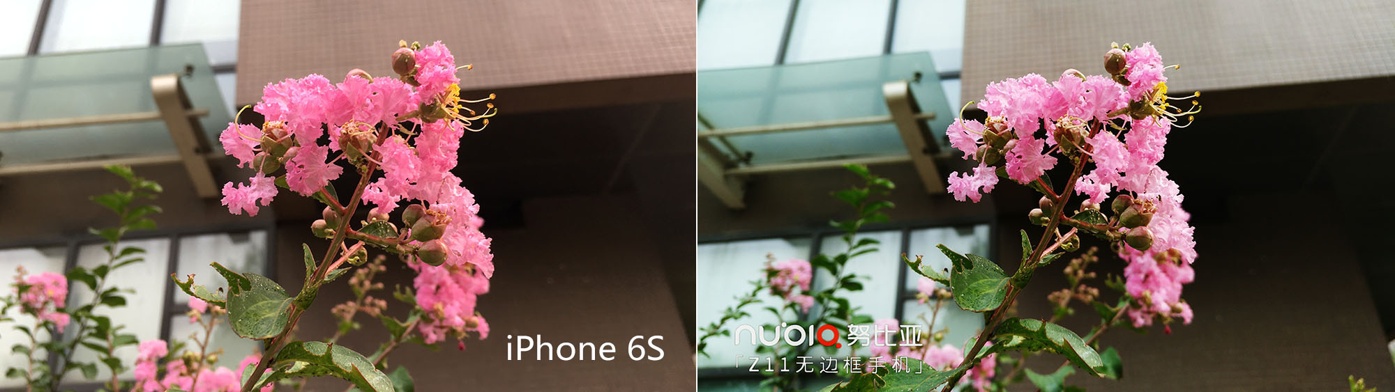 巅峰之战努比亚Z11与iPhone6S拍照谁更棒？