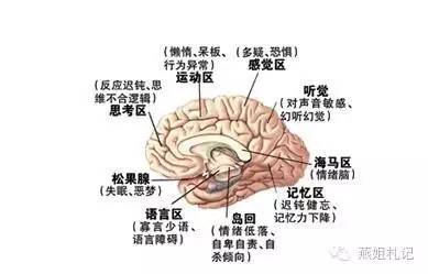 开发孩子的大脑潜能,如何开发孩子智力和右脑