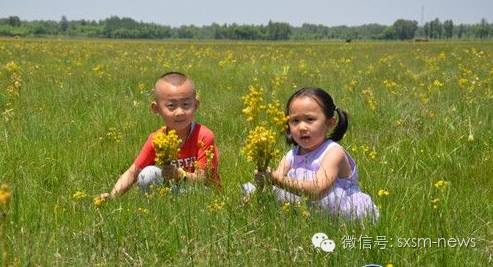 炎炎夏日，小伙伴们神木这几处清凉避暑胜地你去了吗？