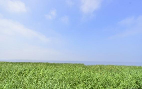 呼和浩特清明节郊游好推荐,呼和浩特周边踏青好去处