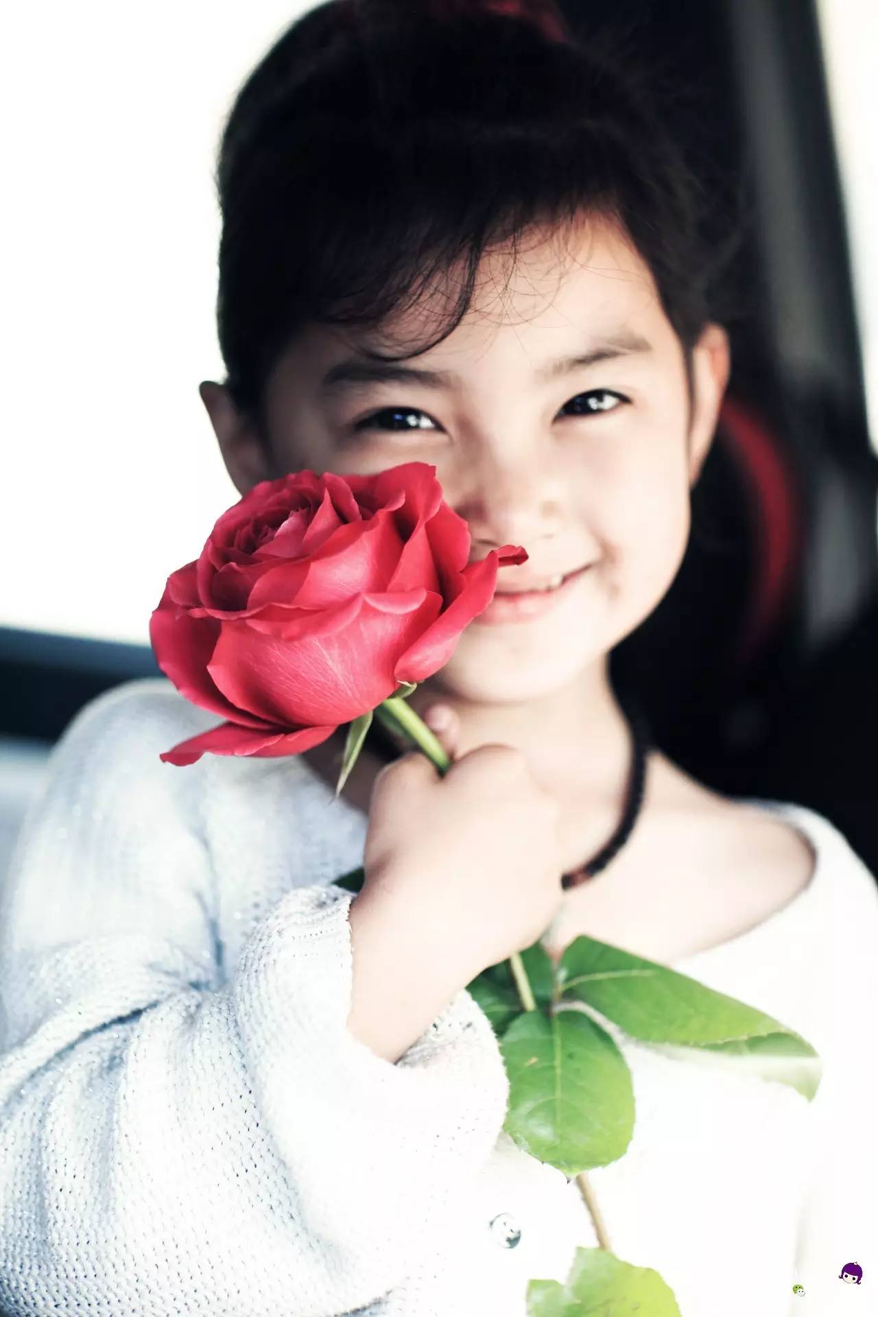 房车小公主环球旅行日记,房车小公主的环球旅行