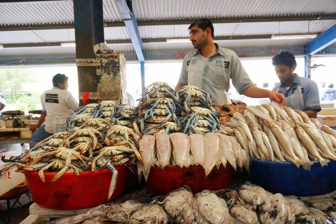 迪拜自驾旅游攻略最新,迪拜自驾游旅游攻略大全