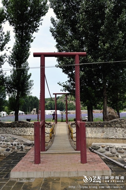 紫海香堤香草艺术庄园特色,紫海香堤香草艺术庄园怎么样