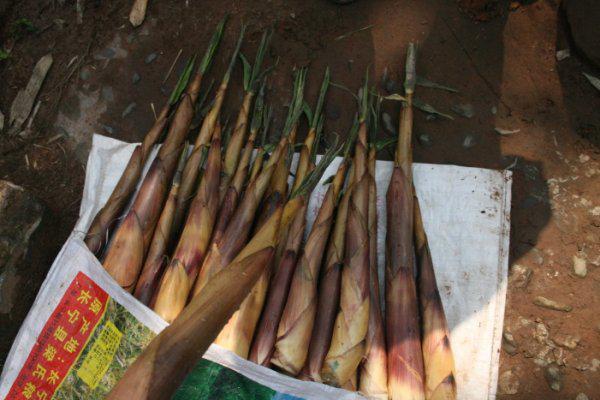 宜宾印象视觉,宜宾印象盐都