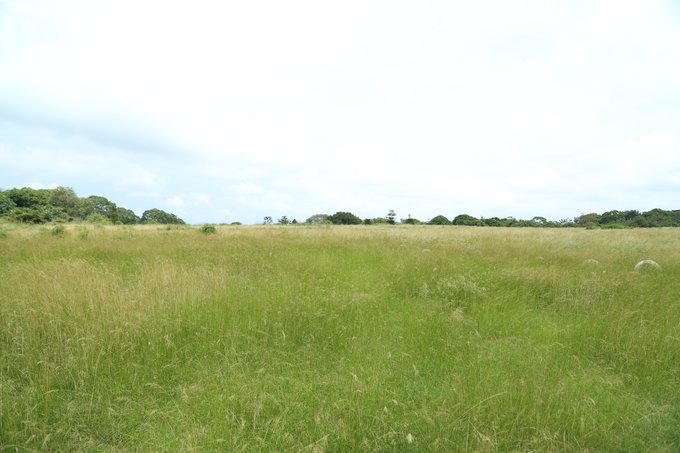 【非洲璀璨明珠】乌干达生活旅游指南