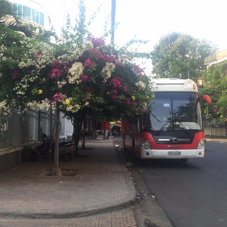 芽庄旅游自由行签证办理流程,去芽庄旅游如何办落地签证