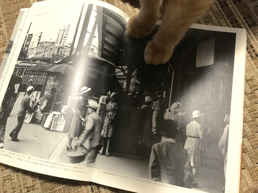 《代号D机关》Endcard中的秘密（下）-板津匡览解说《JokerGame》Endcard