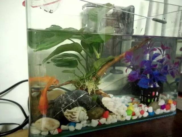 新手独白总结一下那些年我们犯过的错