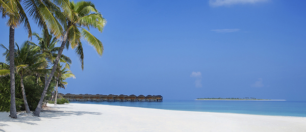 美佳航空767,美佳航空lv199机型