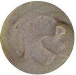 米粉评测真的好吗,米粉整箱测评