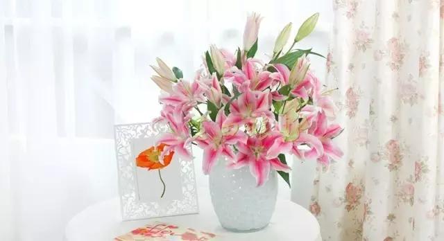 厦门鲜花每周一花,厦门每周一束鲜花订花平台