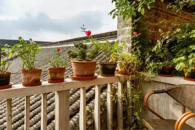 南京花迹,南京绝美的金陵小城