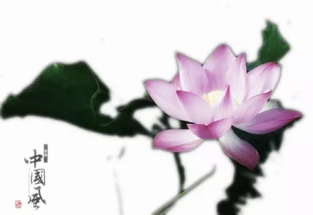 如何把荷花修图成水墨画,手机荷花后期水墨画教程