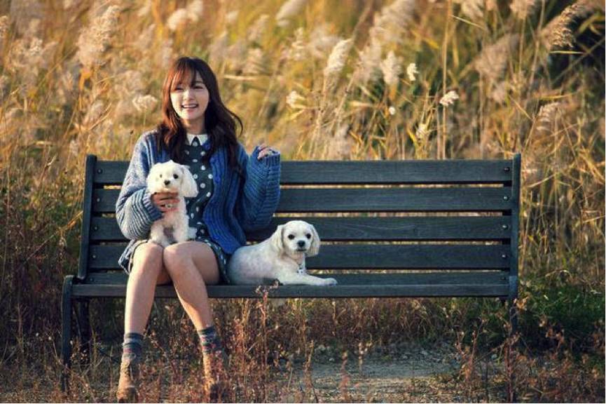 中韩合作新剧,中韩合拍的网剧有哪些