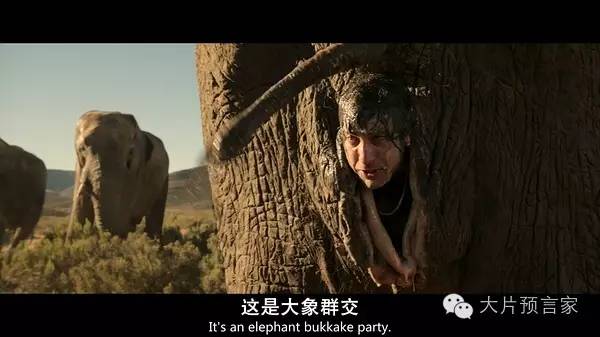 英国佬的政治素养怎么样,英国佬的政治素养