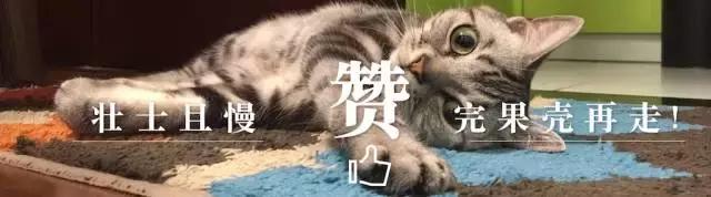 天气越来越热了夏日降温神器来了,热得就像在蒸笼里一样