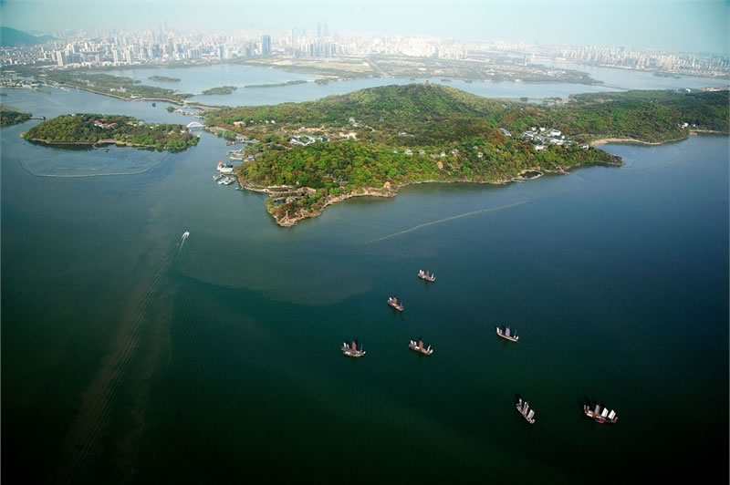 钓鱼小药鲤鱼王,钓鱼王小药饵料