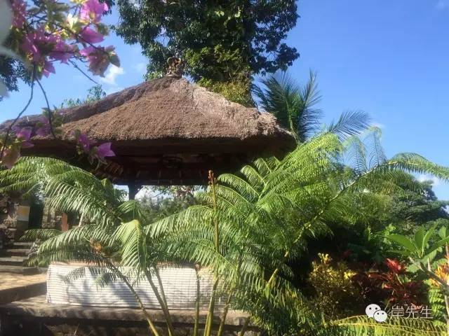 巴厘岛攻略|花155元望着大海享受SPA,神仙也不过如此