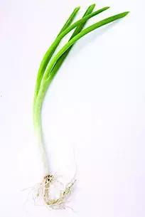 五毛钱是用金子做的吗,五毛钱可以值多少钱