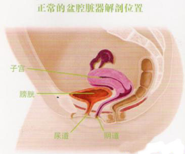 陶氏腔积液跟盆腔积液有什么区别,陶氏腔积液和盆腔积液的区别