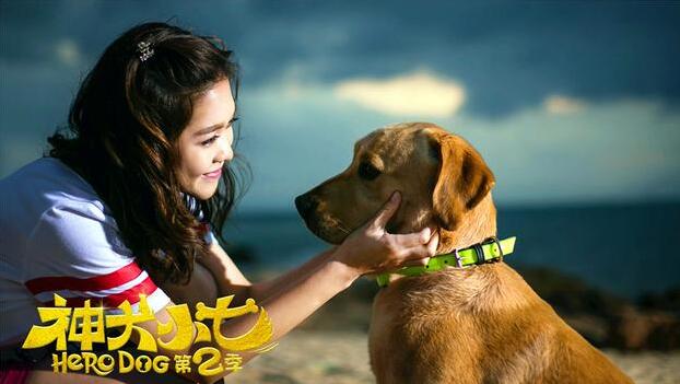 不一样的儿童狗狗,不一样的可爱的小狗狗