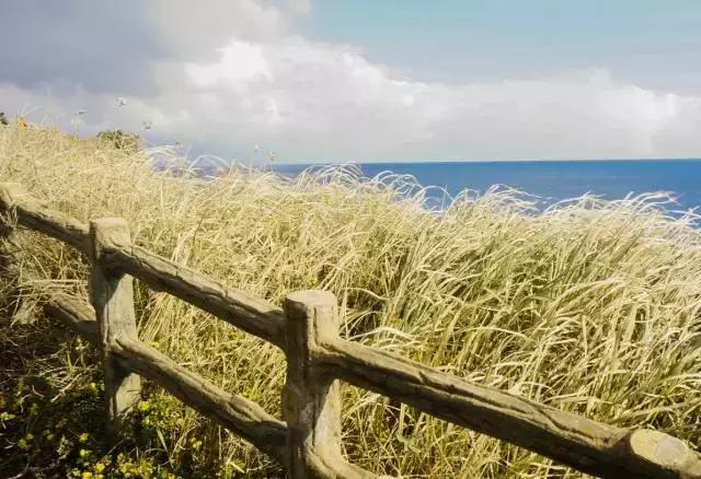 济州岛对中国一直免签吗,济州岛是对全球免签的吗