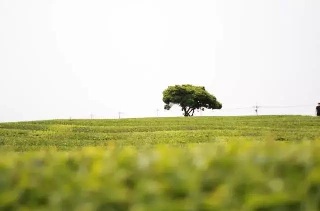 济州岛对中国一直免签吗,济州岛是对全球免签的吗