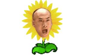 撩妹搞笑段子经典,撩妹天花板经典搞笑段子