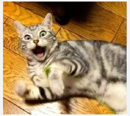 “春药”是药吗?药房能卖吗?