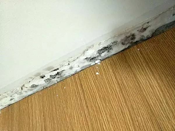 中海锦园怎么样,中海锦园