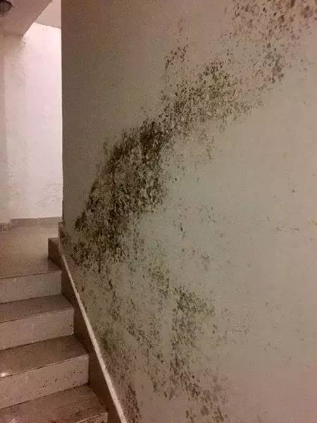 中海锦园怎么样,中海锦园