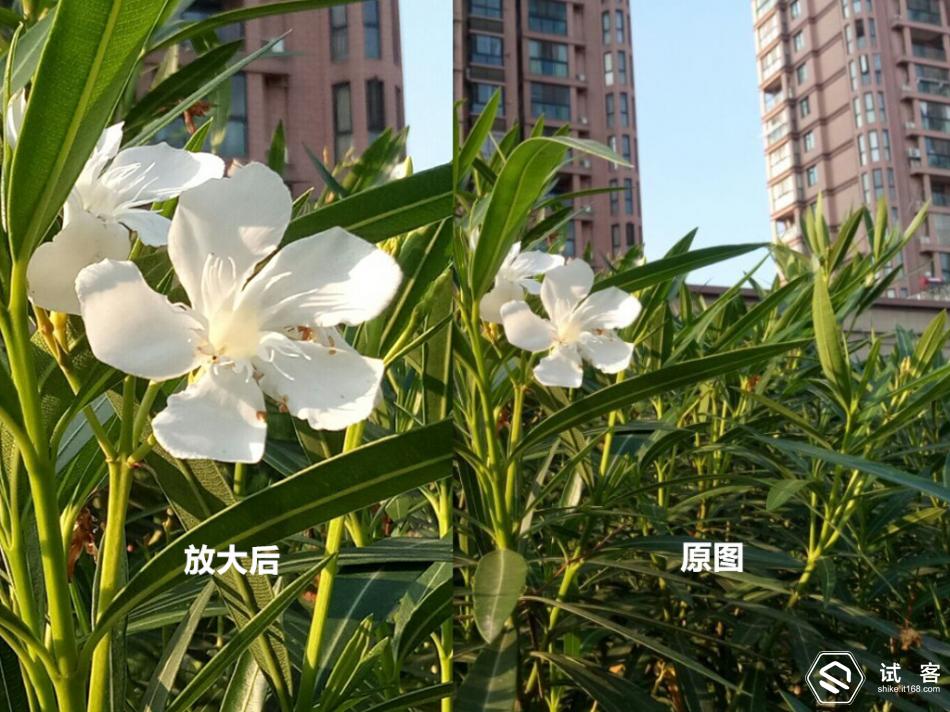 中兴bladea2p,中兴bladea2plus用法