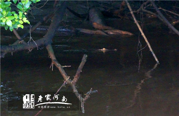 沙巴蜜月七日游推荐,完美假期泰国游青春版