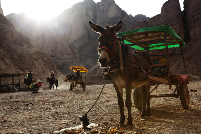 一起去大西北流浪,一起去大西北沙漠