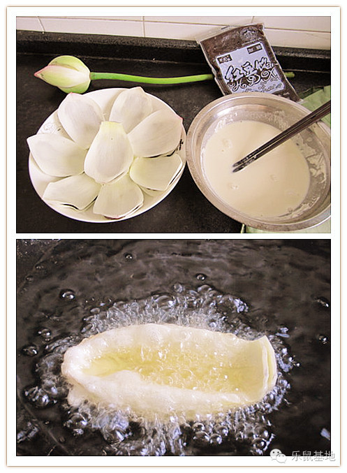 莲花很美,莲花应该怎么吃