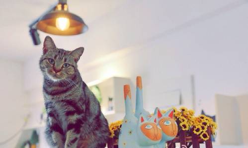 武汉星巴克咖啡店排名,武汉有星巴克咖啡店吗