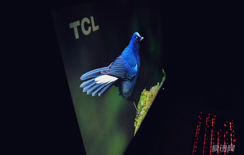 专门为设计师提供的一款显示器,设计师为什么喜欢苹果电脑