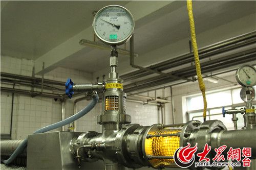 烟台人一天“哈”100吨散啤天气越热喝得越多