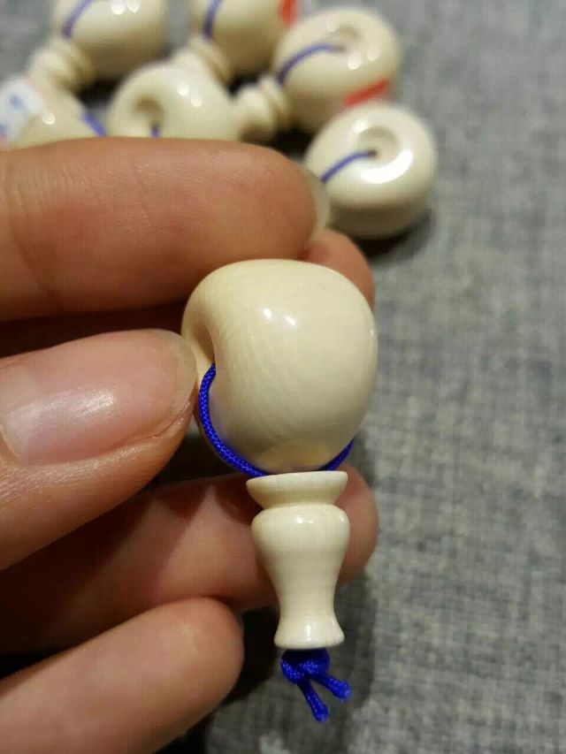 为什么猛犸象牙早晚都得裂,猛犸象牙见太阳容易裂不