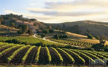 澳大利亚葡萄酒指南,澳大利亚慕茜葡萄酒