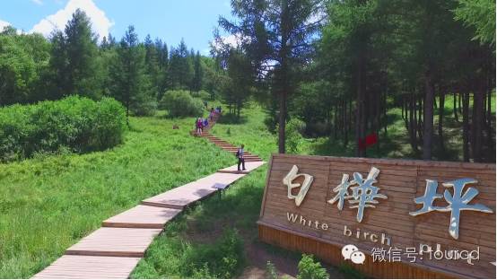 塞罕坝周末游,塞罕坝避暑攻略
