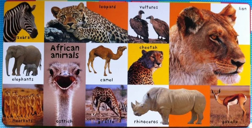 适合儿童读的英语书推荐,1岁宝宝读100本书