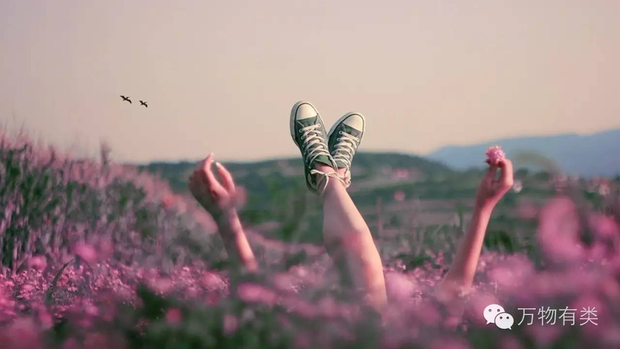 教你如何撩妹,如何正确撩妹