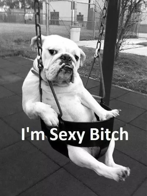 肌肉型萝卜腿瘦腿全方案,一周快速瘦腿秘诀告别小粗腿