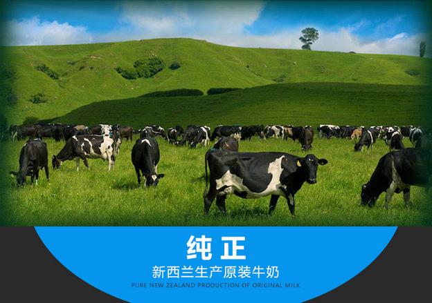 喝了会让人开心一整天的牛奶是什么鬼新西兰纽麦福五十年如一日
