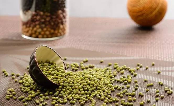 特刊|大暑·致LL—精灵的跳跃与隐匿