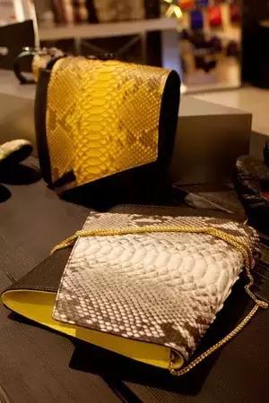 精致包包推荐小众9.9,女士小众轻奢品牌包推荐图片