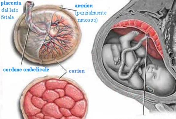 产后大出血的急救措施,产后大出血危险期多久