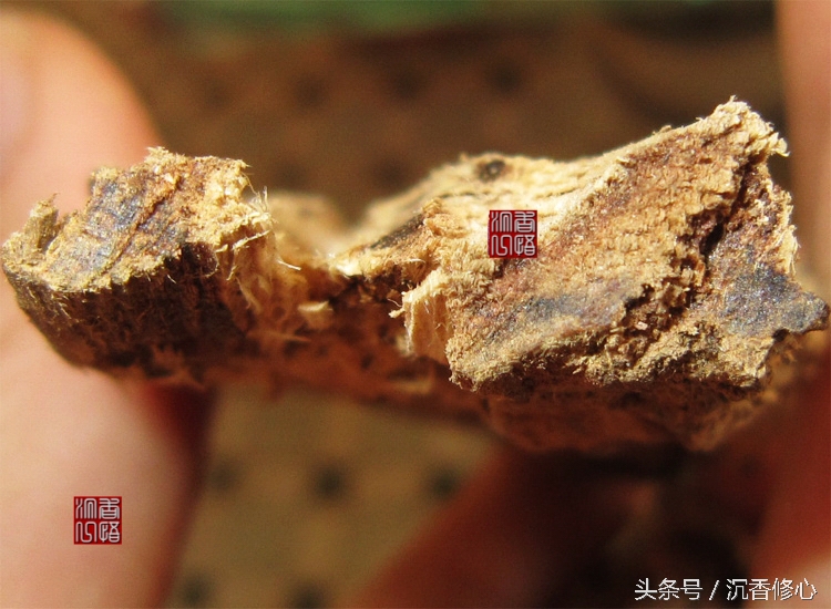 初学者怎么买到好沉香,网上买沉香怎么选不被坑