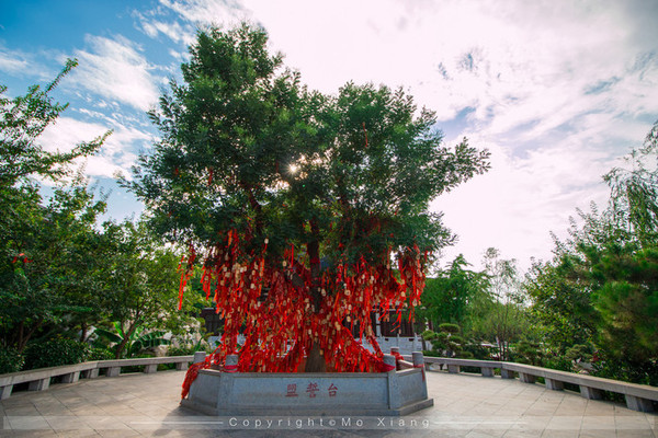 华清一夜梦,享盛唐御泉